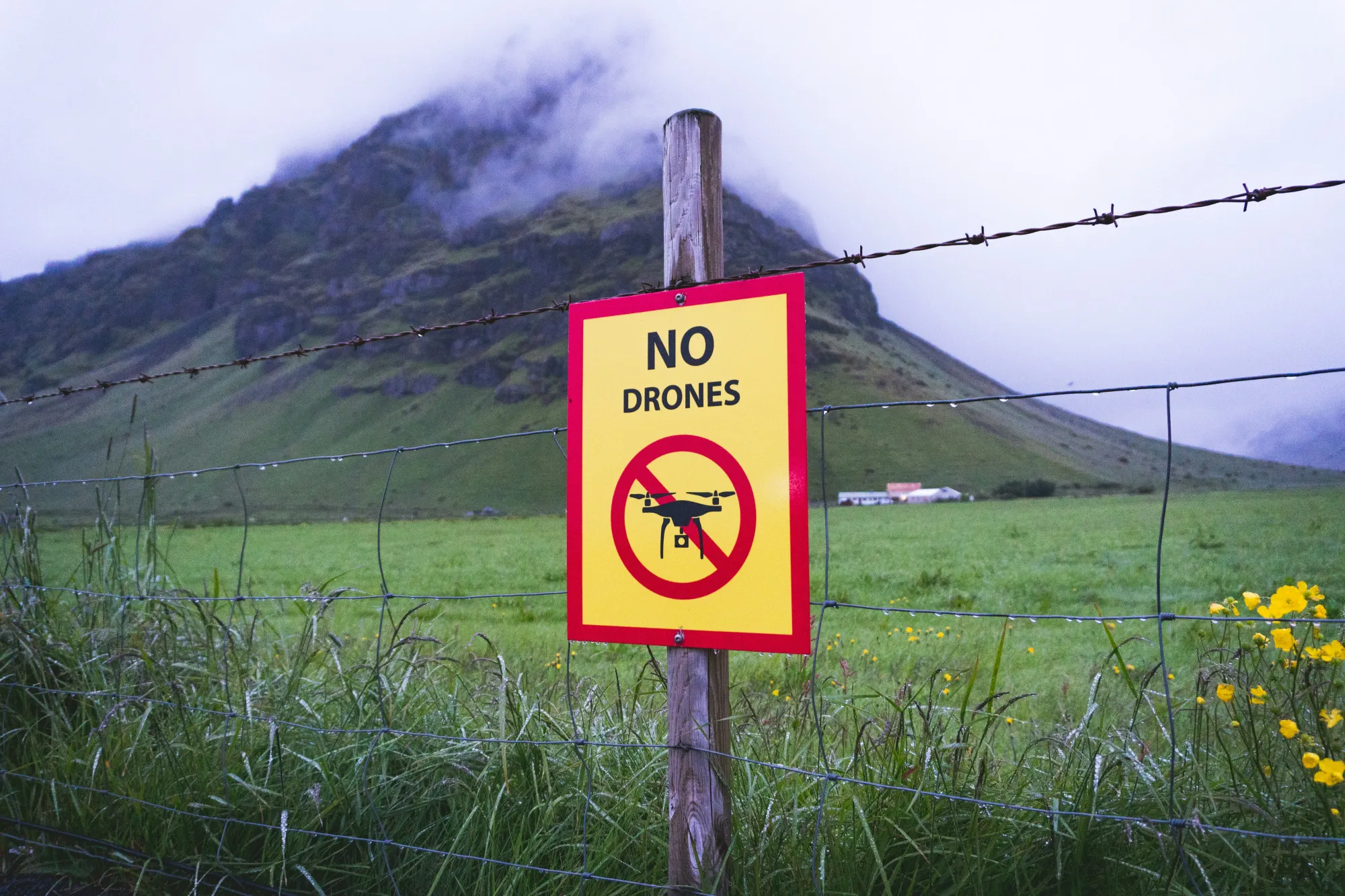 Work From Anywhere <>nullifies </> archaic immigration laws